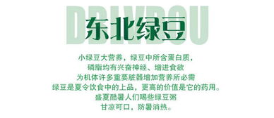 龙江绿宝，有机臻选 黑龙江笨绿豆的纯朴馈赠