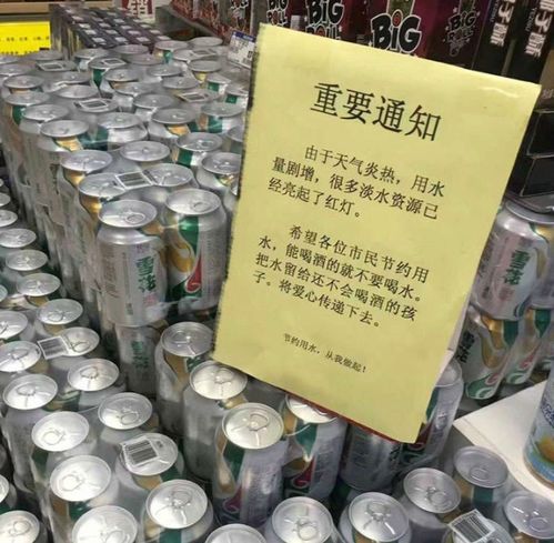 优雅瞬间 笑看气质姑娘的爆笑gif魅力